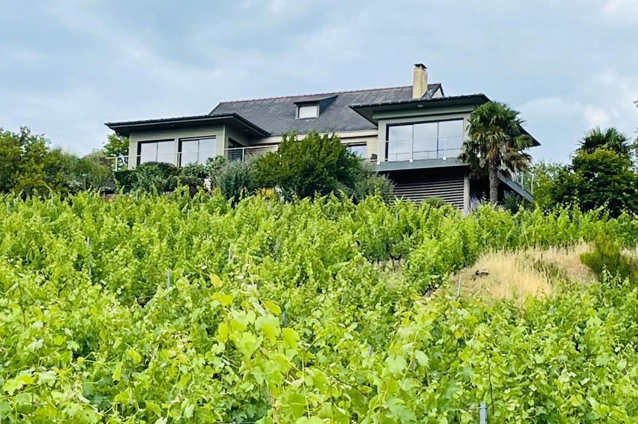 Maison Des Coteaux Blancs Chaudefonds-sur-Layon المظهر الخارجي الصورة