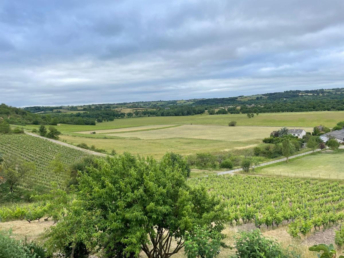 Maison Des Coteaux Blancs Chaudefonds-sur-Layon المظهر الخارجي الصورة