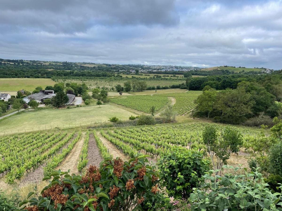 Maison Des Coteaux Blancs Chaudefonds-sur-Layon المظهر الخارجي الصورة