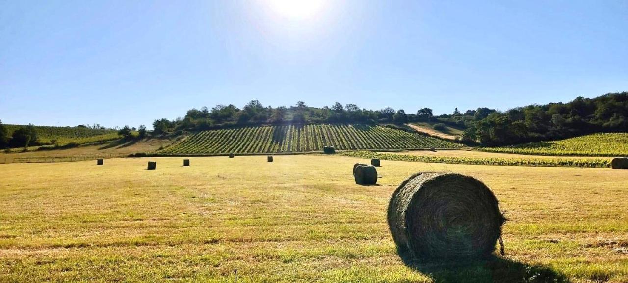 Maison Des Coteaux Blancs Chaudefonds-sur-Layon المظهر الخارجي الصورة