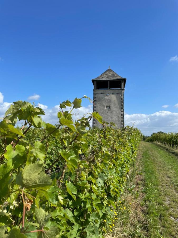 Maison Des Coteaux Blancs Chaudefonds-sur-Layon المظهر الخارجي الصورة