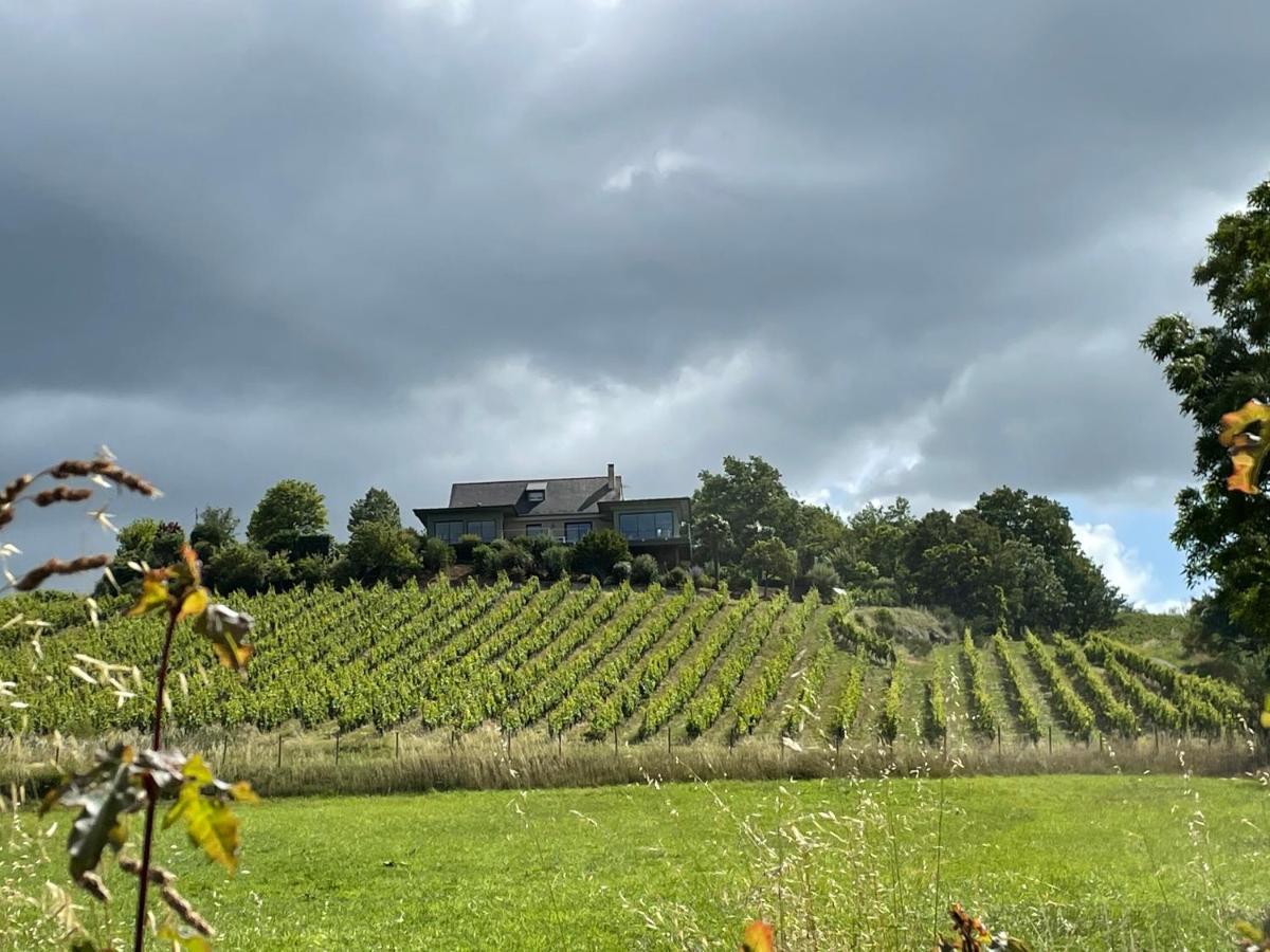 Maison Des Coteaux Blancs Chaudefonds-sur-Layon المظهر الخارجي الصورة